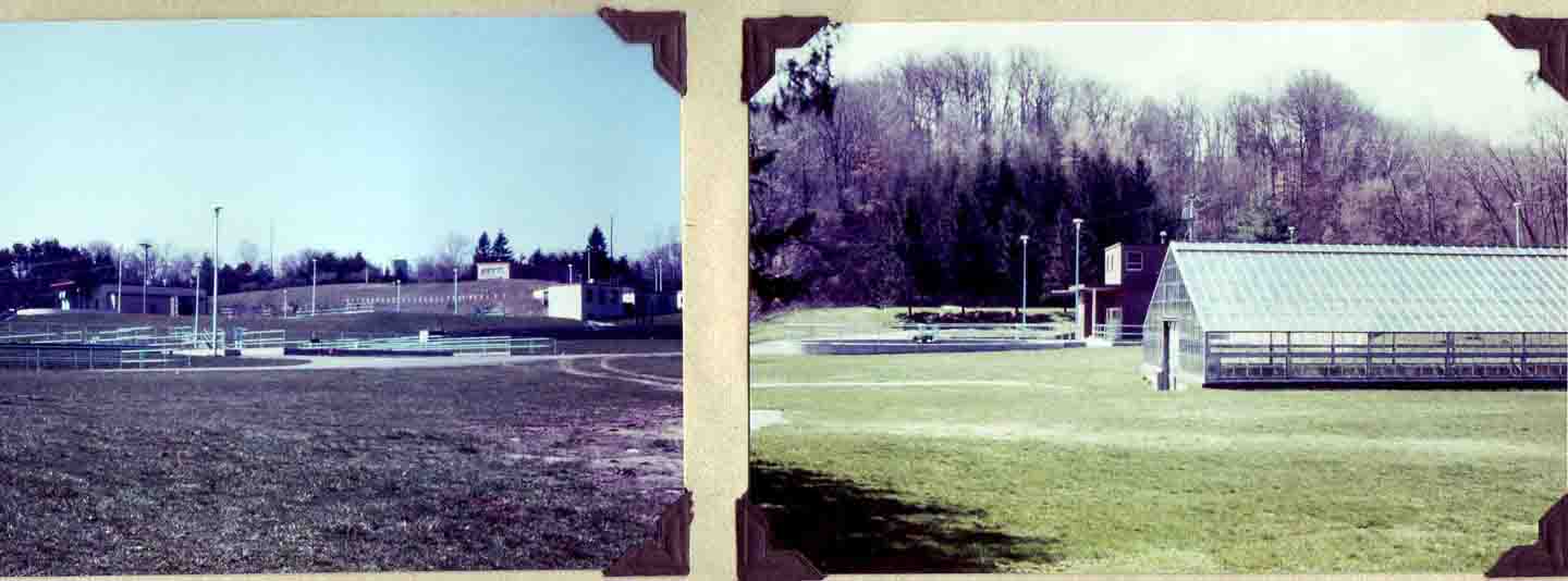 1974 Allens Creel plant